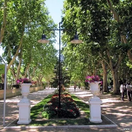 En El Centro De La Ciudad Huesca